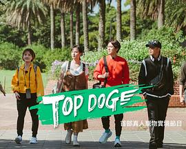 AV解说《TOP DOG》免费在线观看