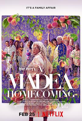 AV解说《黑疯婆子圣母归来 A Madea Homecoming》免费在线观看