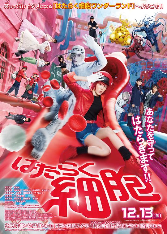 av視频《工作细胞 真人版 はたらく細胞》免费在线观看