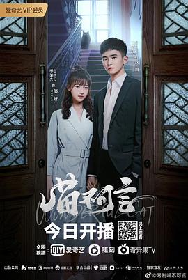 jvid视频《喵不可言》免费在线观看