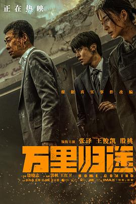 AV解说《万里归途》免费在线观看