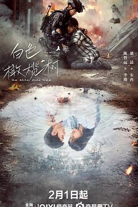 jvid视频《白色橄榄树》免费在线观看