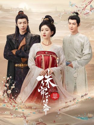 av視频《珠帘玉幕》免费在线观看
