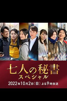 AV解说《七个秘书 特别篇 七人の秘書スペシャル》免费在线观看