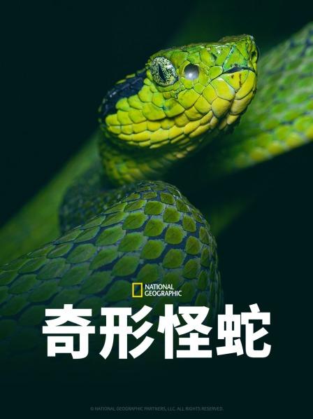 jvid视频《奇形怪蛇》免费在线观看