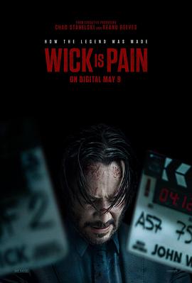 AV解说《疾速剧痛 Wick Is Pain》免费在线观看